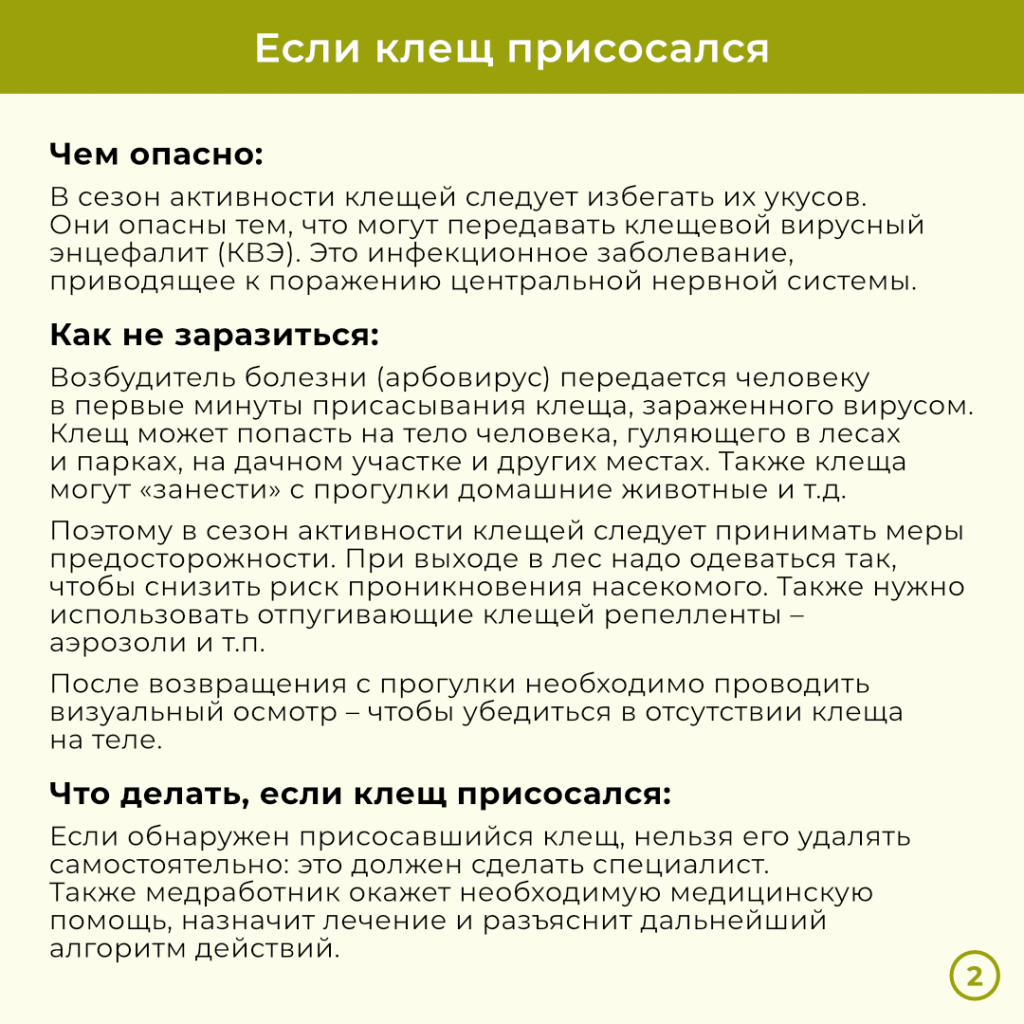 клещ 2.png